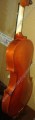 Violin economico 2